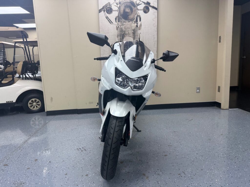 2011 Kawasaki Ninja 250R