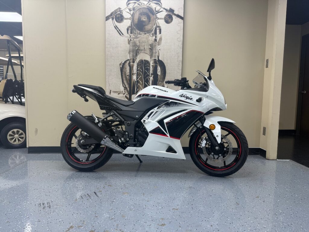 2011 Kawasaki Ninja 250R