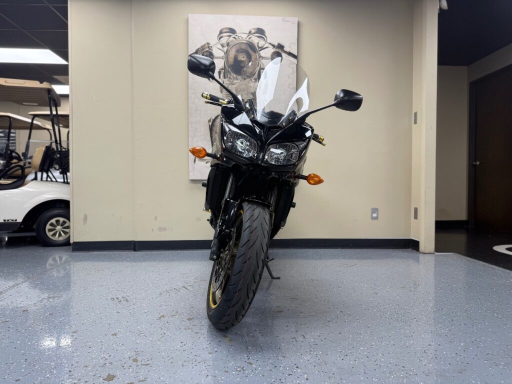 2009 Yamaha FZ-1