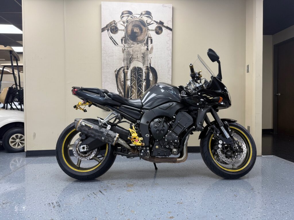 2009 Yamaha FZ-1