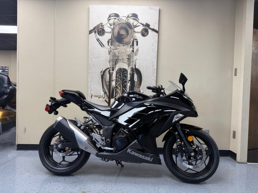 2014 Kawasaki Ninja 300