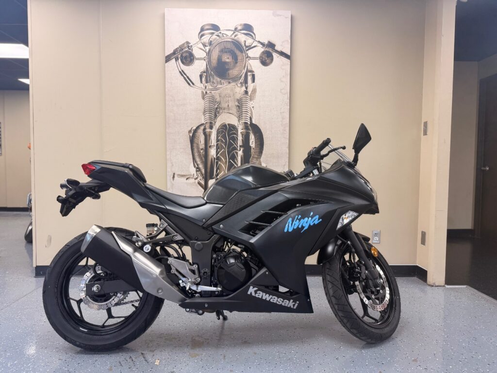 2016 Kawasaki Ninja 300