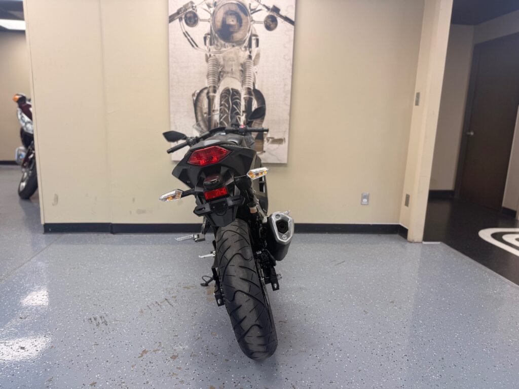 2016 Kawasaki Ninja 300