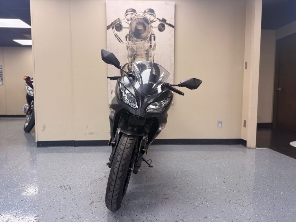 2016 Kawasaki Ninja 300