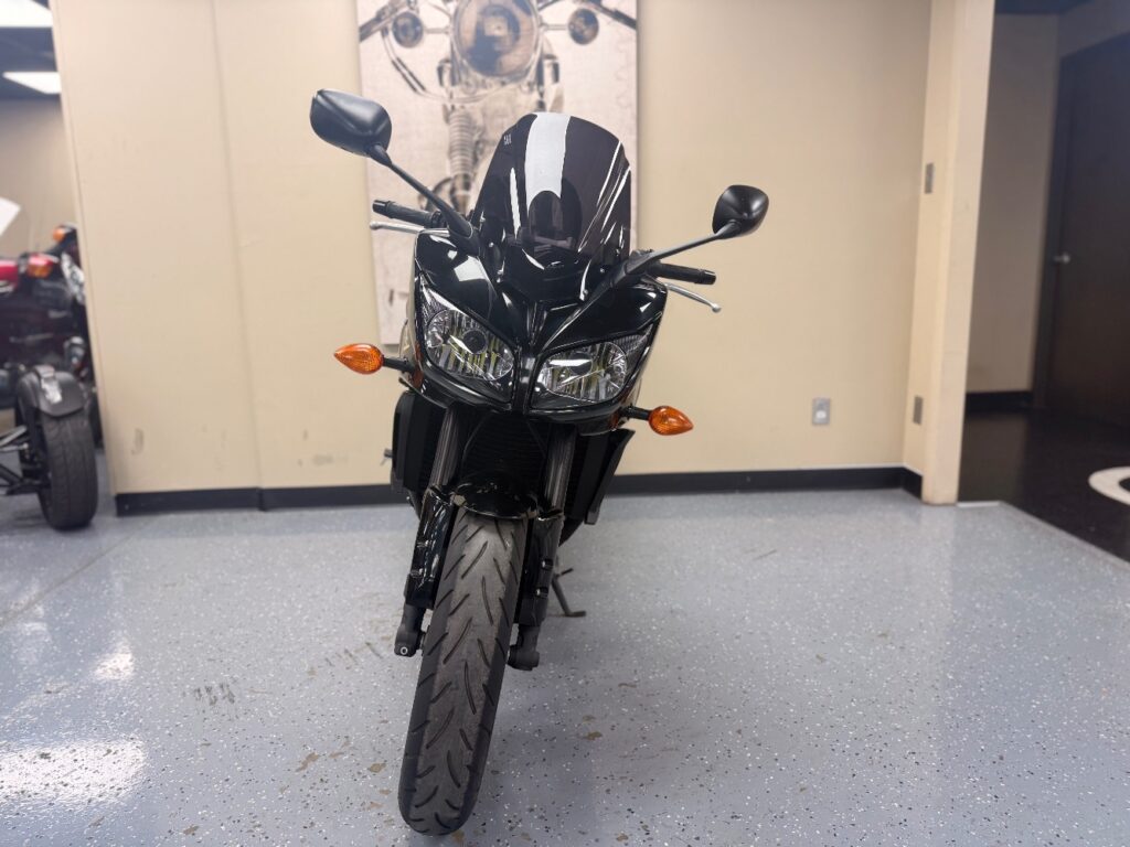 2009 Yamaha FZ1