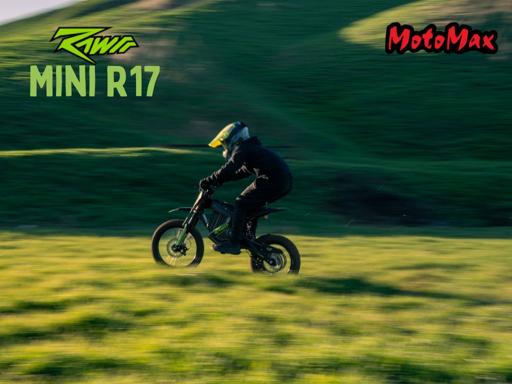 2026 Rawrr Mantis Mini R17