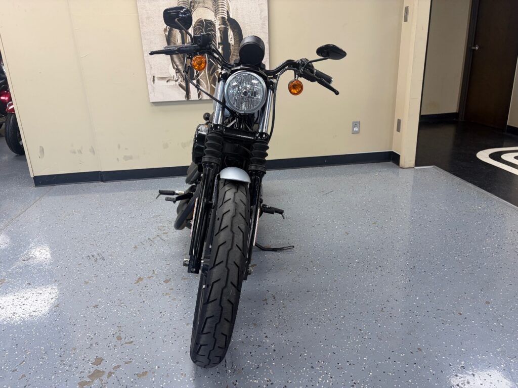 2020 Harley-Davidson XL883N