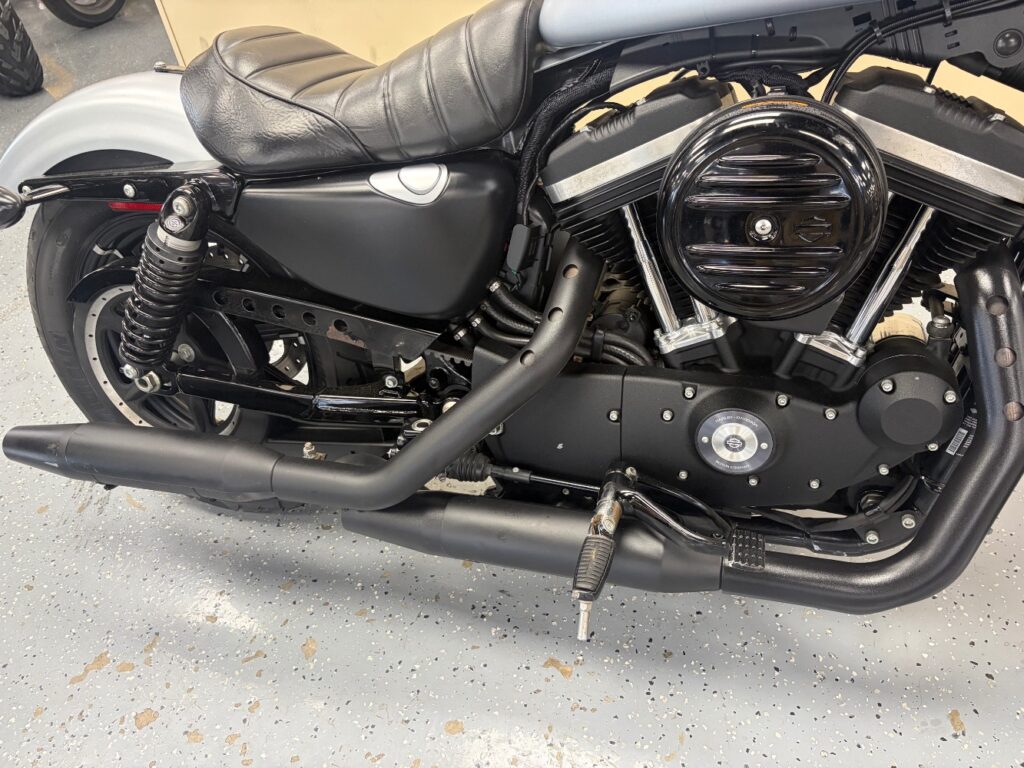 2020 Harley-Davidson XL883N