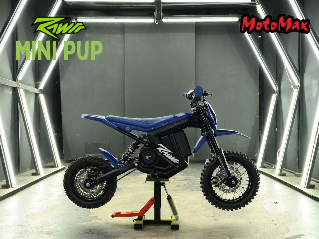 2026 Rawrr Mini Pup