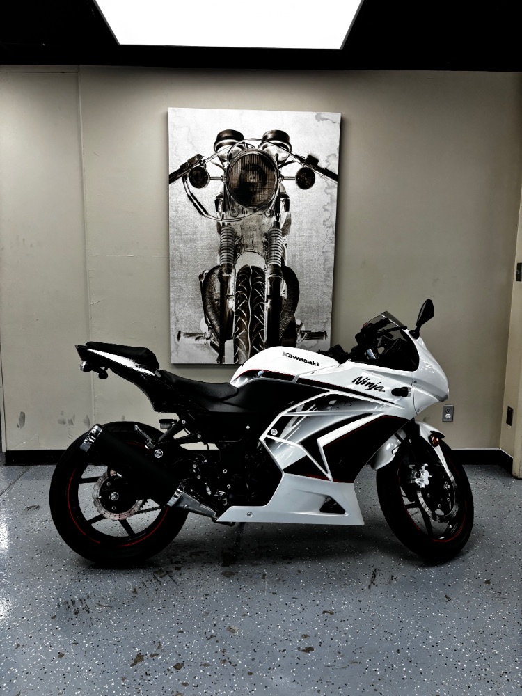 2011 Kawasaki Ninja 250R