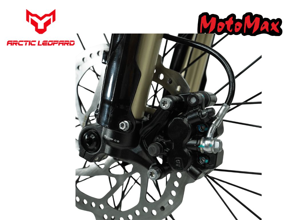 Arctic Leopard XE Pro R
