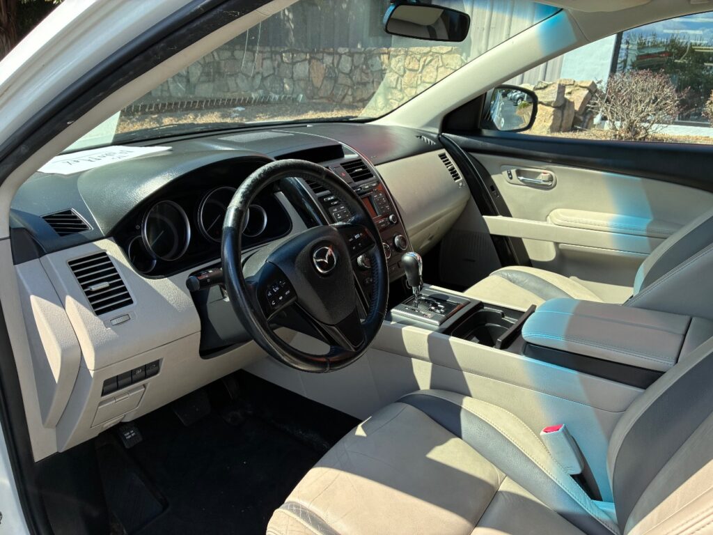 2010 Mazda CX-9